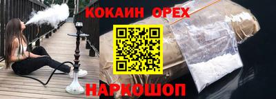 бошки Кингисепп
