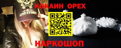 бошки Кингисепп