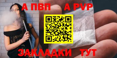 бошки Кингисепп