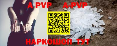 бошки Кингисепп