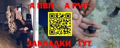 бошки Кингисепп